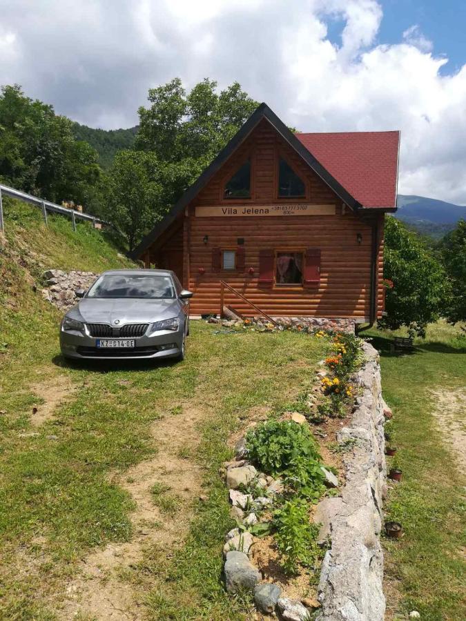 Vila Jelena Crni Vrh Экстерьер фото